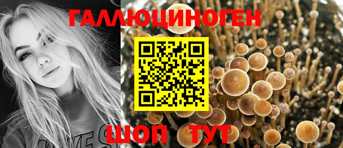 Новоалександровск  Псилоцибиновые грибы мухоморы  Вход с VPN 